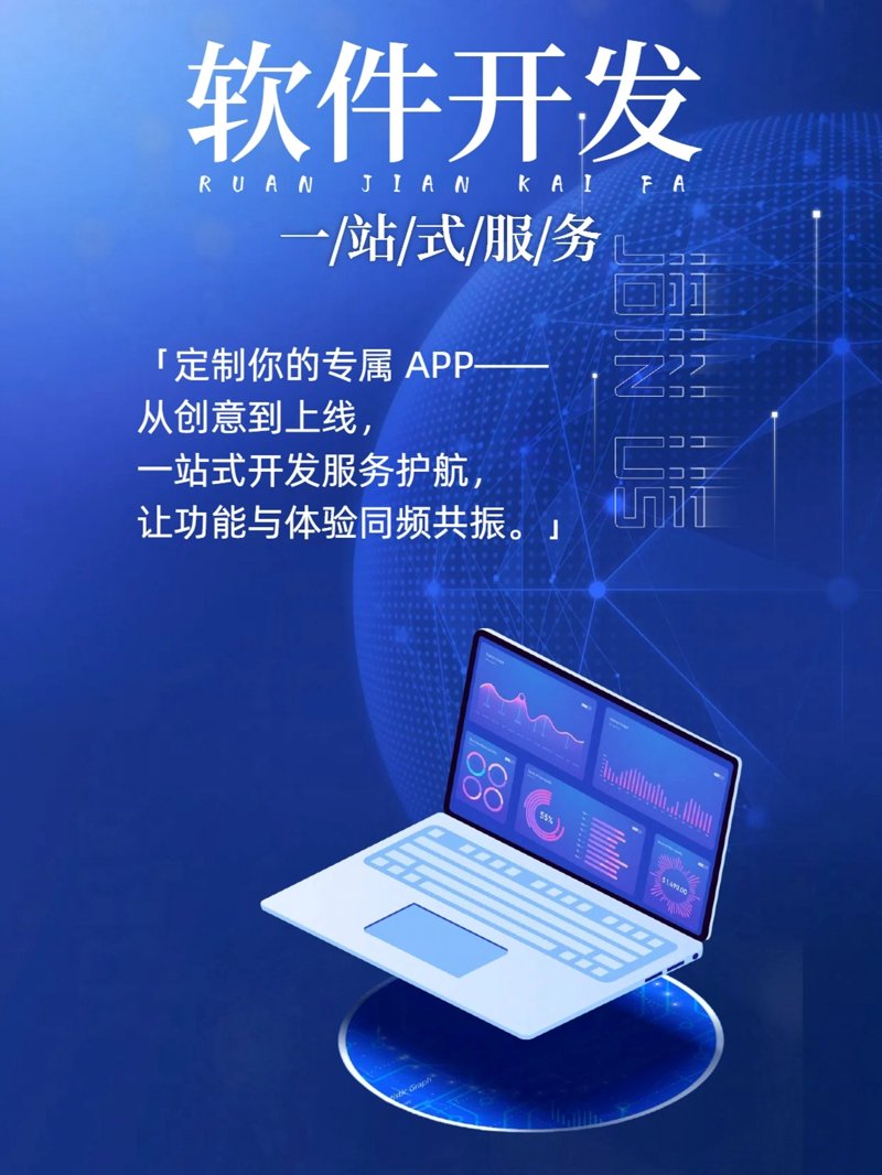 进销存系统的定制化之路:如何选择最合适的解决方案?
